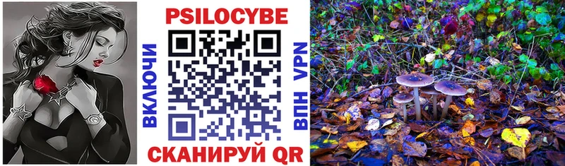 Купить  Борзя  Псилоцибиновые грибы MAGIC MUSHROOMS 