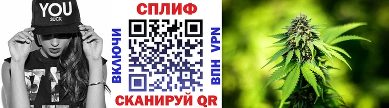 Купить где Борзя МАРИХУАНА White Widow